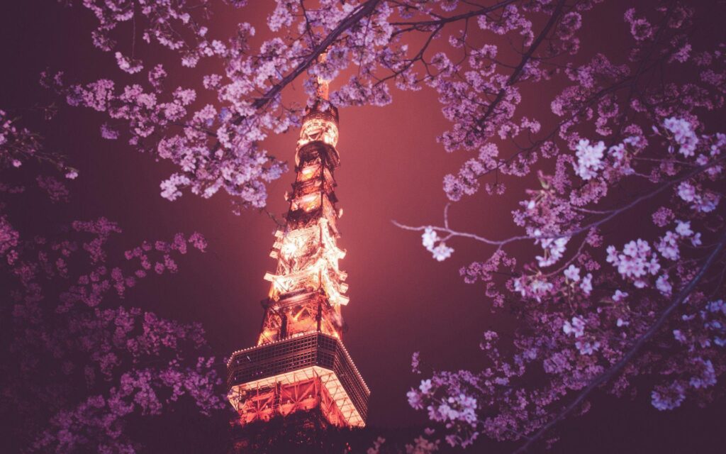 Wallpapers For – Japanese Cherry Blossom Wallpapers Anime