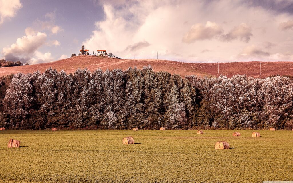 Tuscany Countryside Landscape, Italy ❤ K 2K Desk 4K Wallpapers for