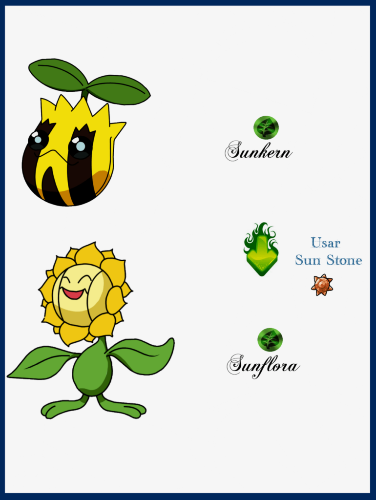 Sunkern Evoluciones by Maxconnery