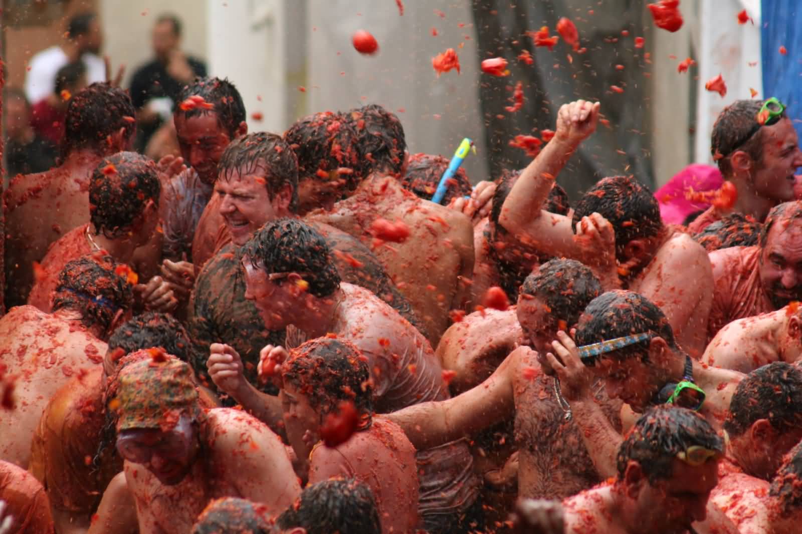 Beautiful La Tomatina Festival Pictures And Photos
