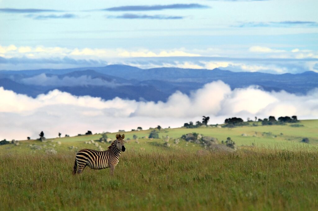 Night North Malawi