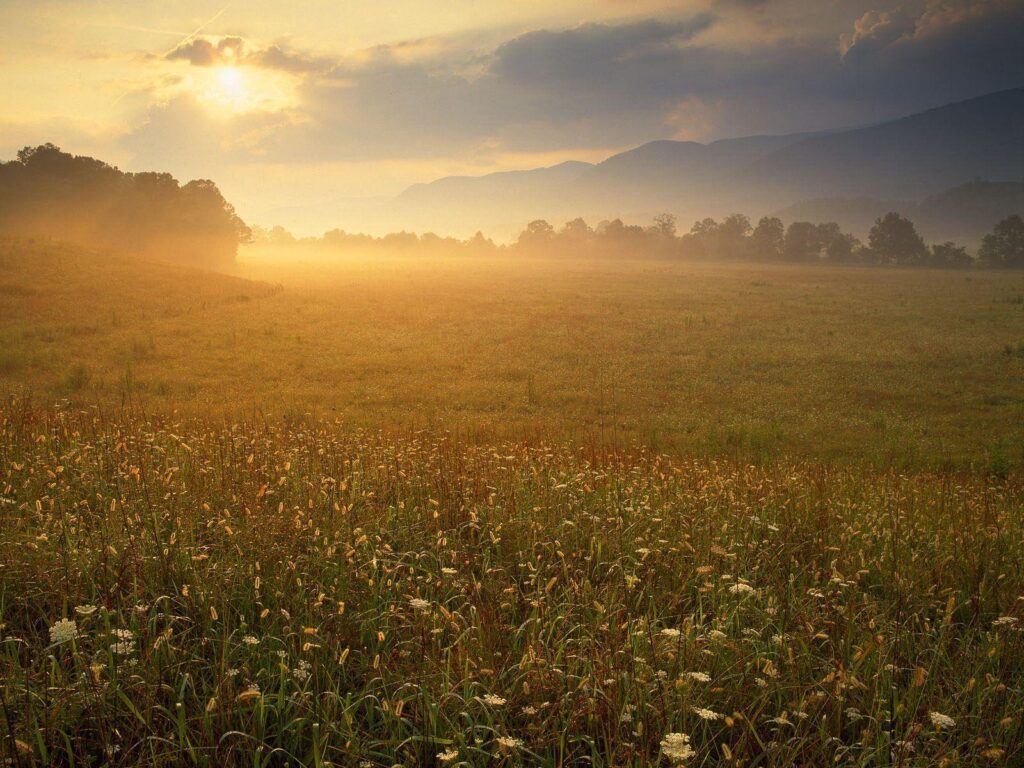 Nature Cades Cove Sunrise, Great Smoky Mountains National Park
