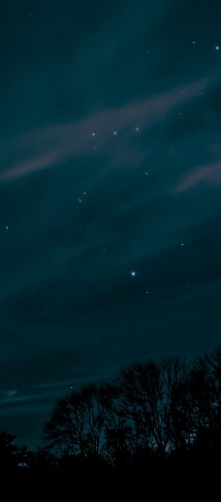 Night Sky Stars Trees