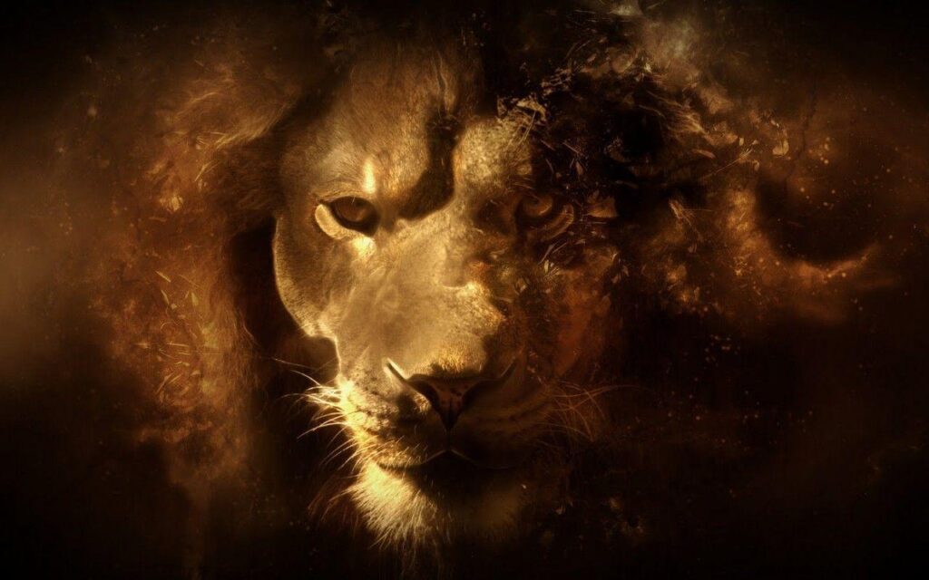 Lion wallpapers