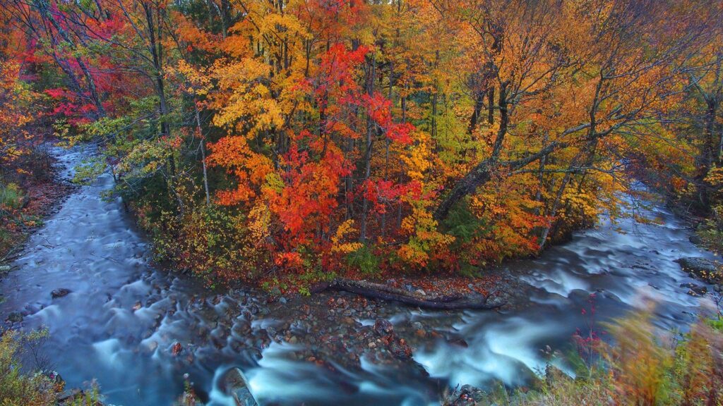 Rivers River Horseshoe Bend Vermont Autumn Forest 2K p