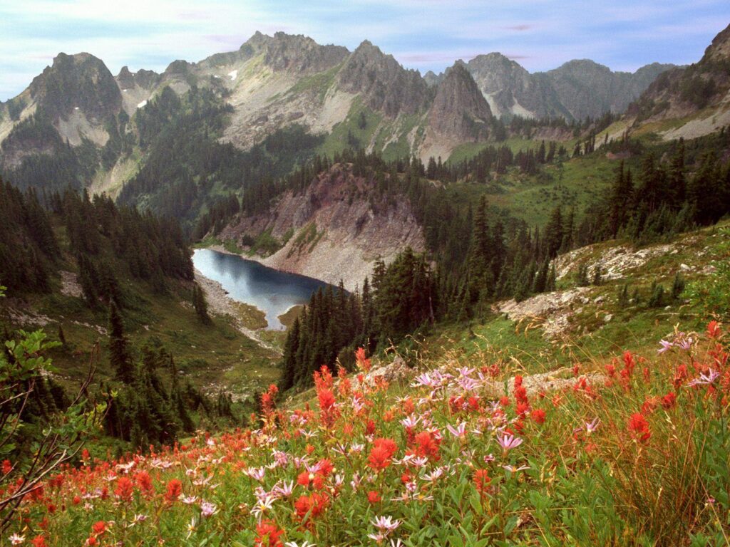 Px Mount Rainier National Park