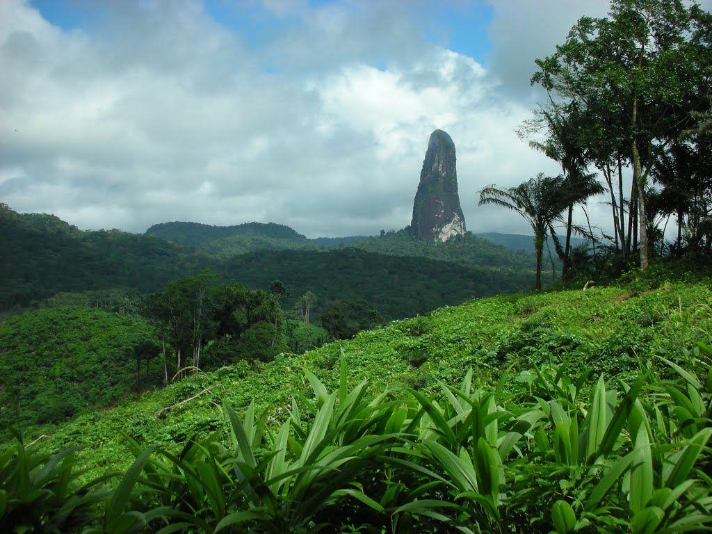 Peak in the jungle, Sao Tome & Principe islands, Africa x