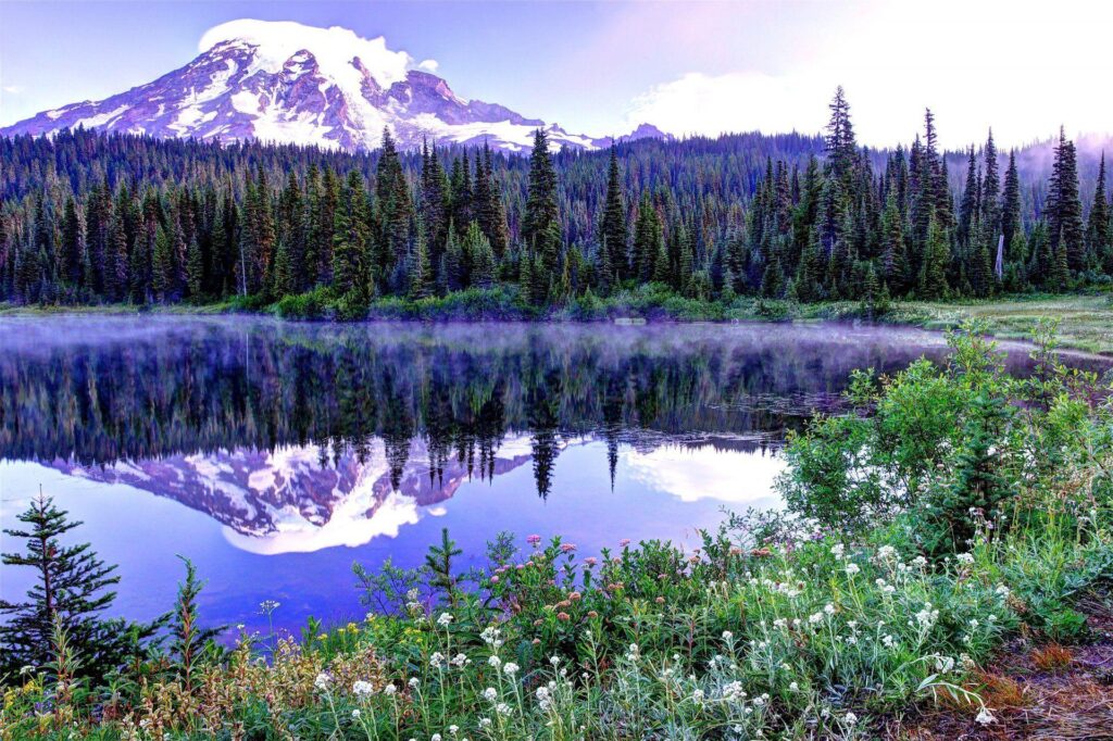 Mount rainier national park united states sky spring tree mountain