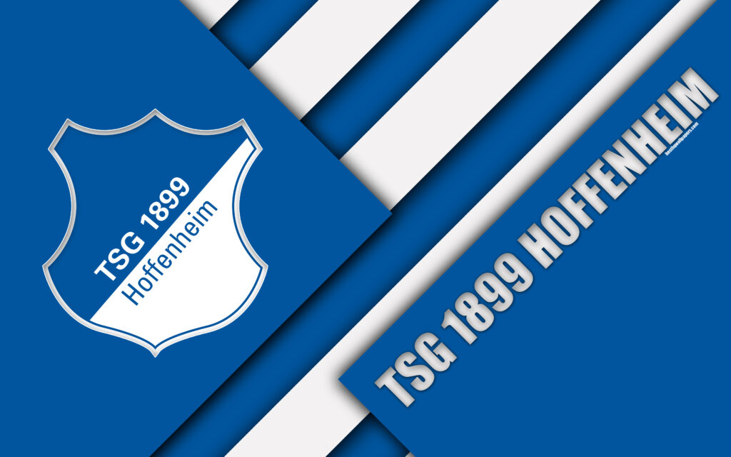 Download wallpapers TSG Hoffenheim, k, material design, emblem