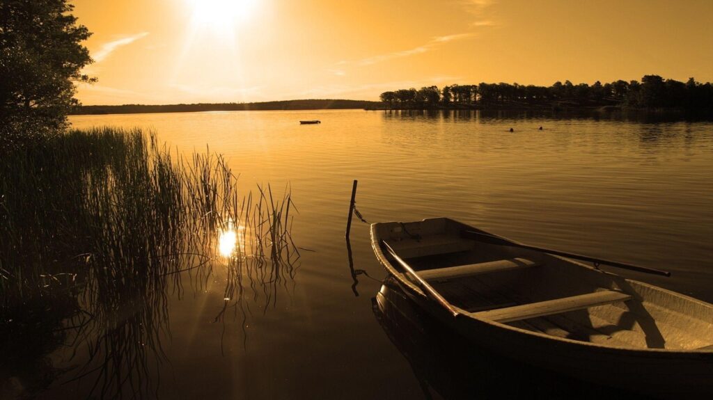 Rowing boat on the lake among the reeds Android wallpapers for free