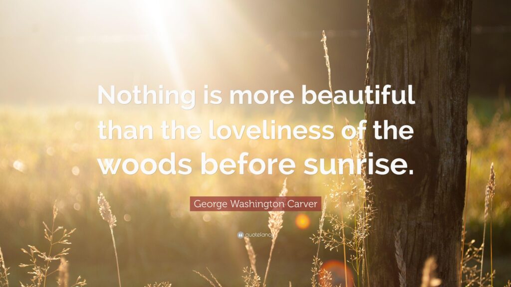 George Washington Carver Quote “Nothing is more beautiful than