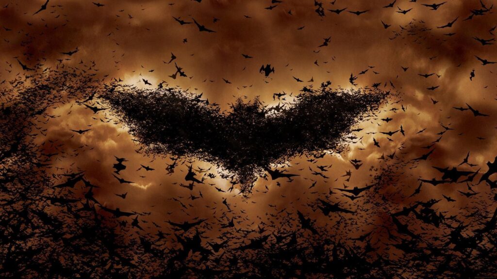 Batman begins bats orange wallpapers