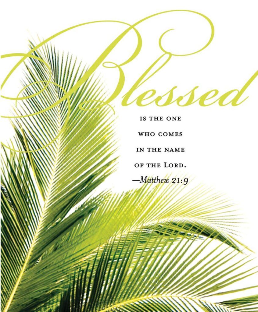 Palm sunday all this week, I pray we will take time each
