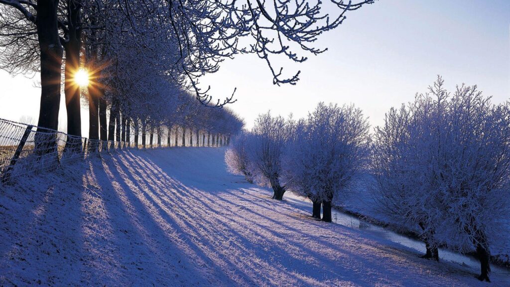 Winter Landscapes Winter Wallpapers For Iphone , Free Widescreen