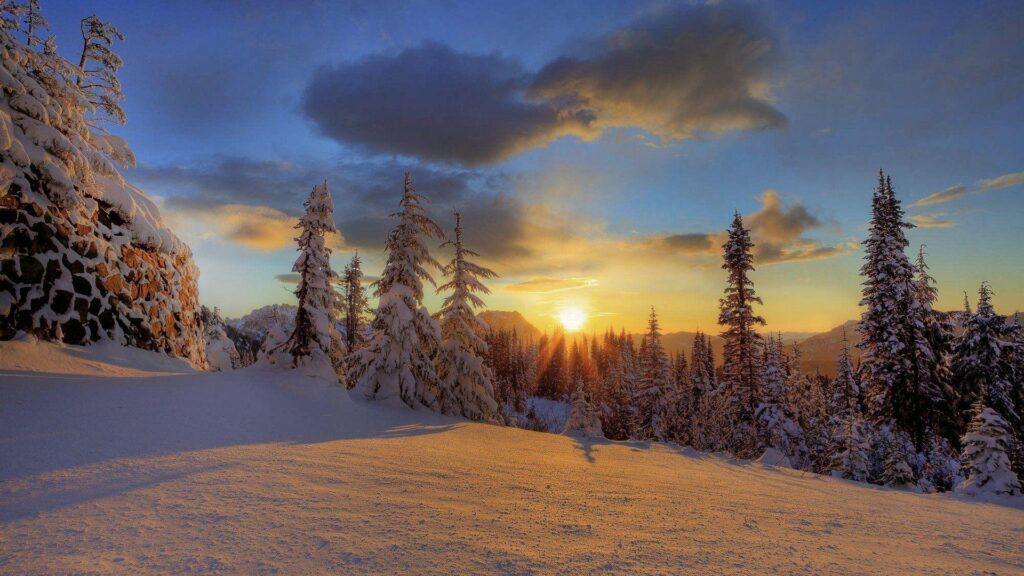 Mount rainier national park winter forest snow mountain 2K wallpapers