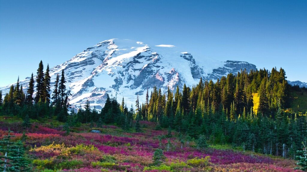 Wallpapers Mount Adams, Mount Rainier National Park, K, Nature,