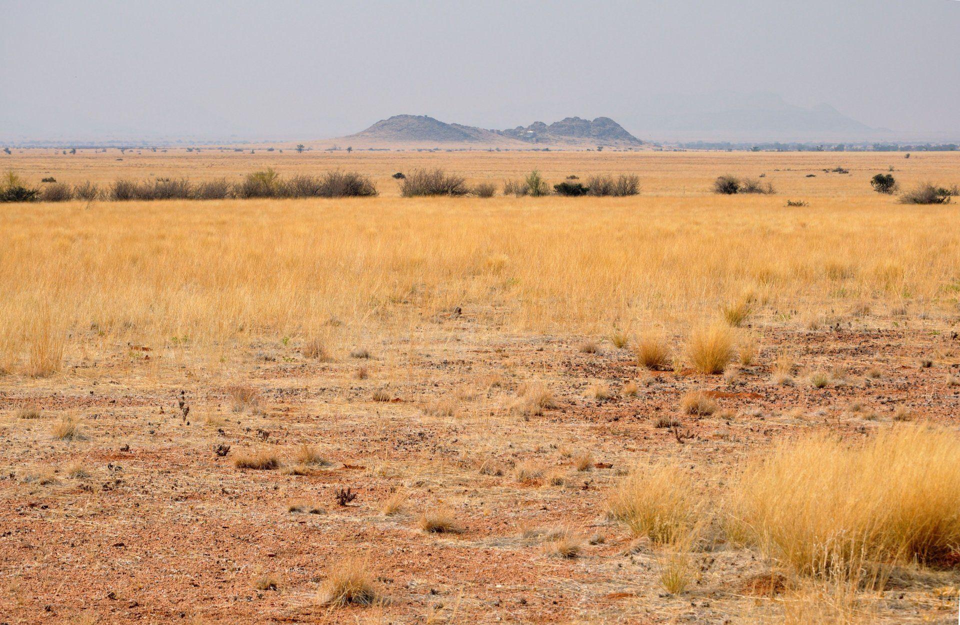 Africa south africa namibia landscape desert savannah 2K wallpapers