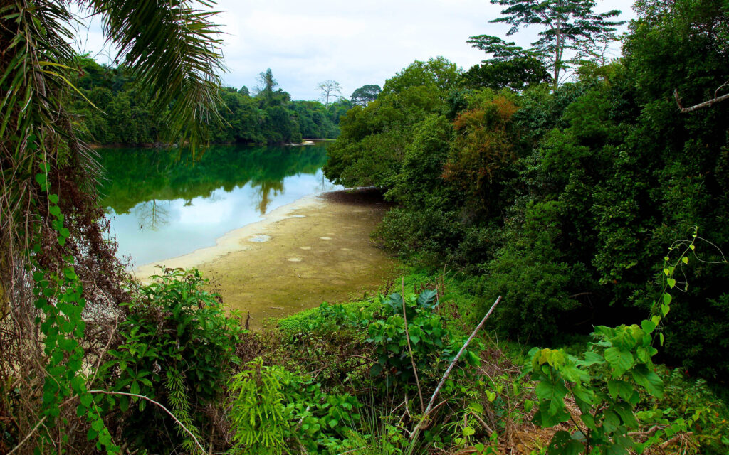 Gabon nature