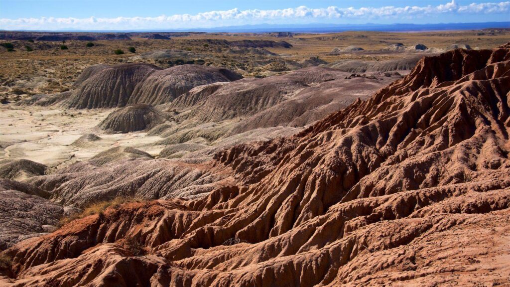 Landscape Pictures View Wallpaper of Petrified Forest National Park