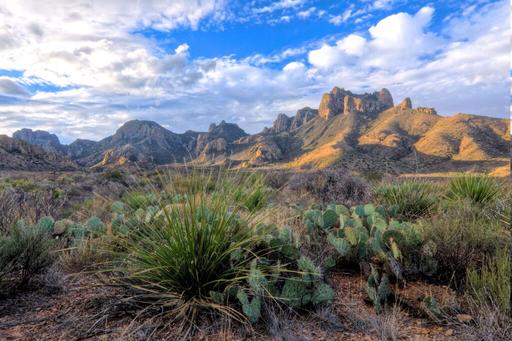 Desert, Cactus, Landscape, Shrubs, Clouds, Mountain, Texas