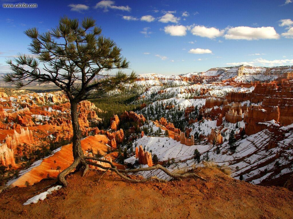 Nature Aloneonthe Rim Bryce Canyon National Park Utah, picture nr