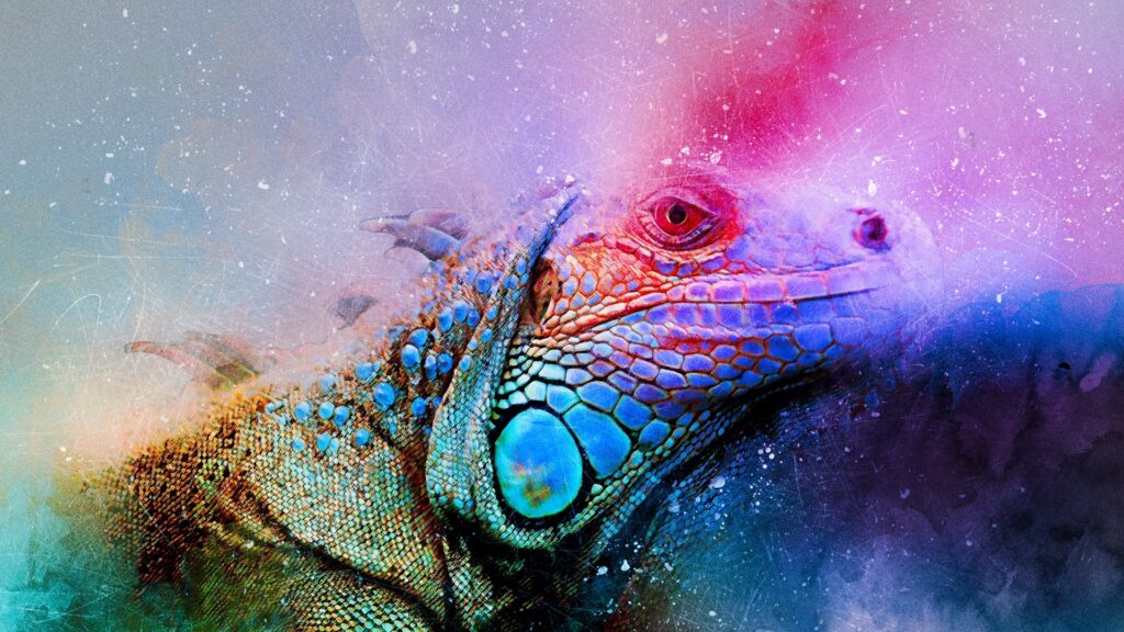 Download wallpapers iguana, reptile, art, colorful full hd