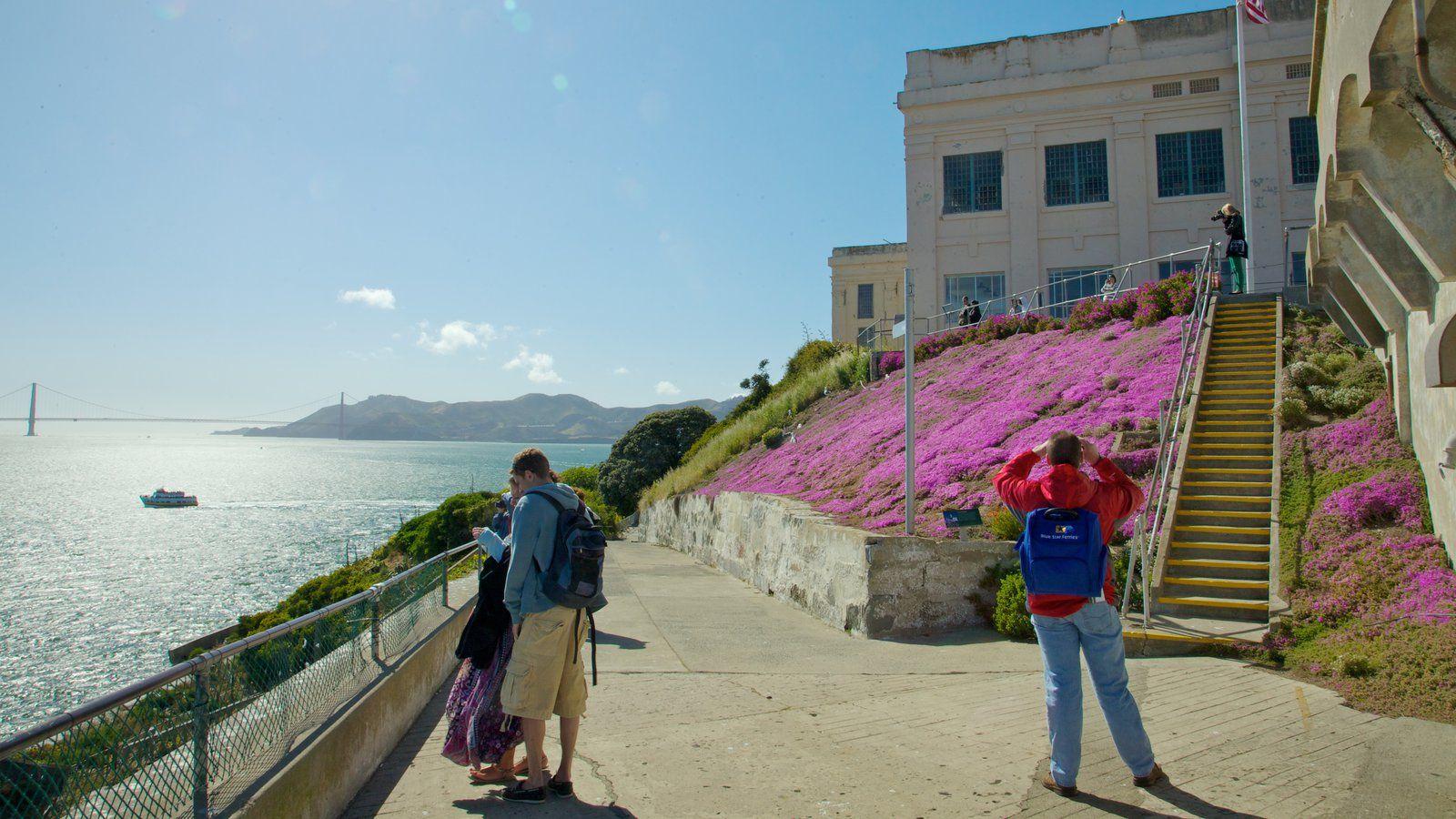 Flowers Pictures View Wallpaper of Alcatraz Island