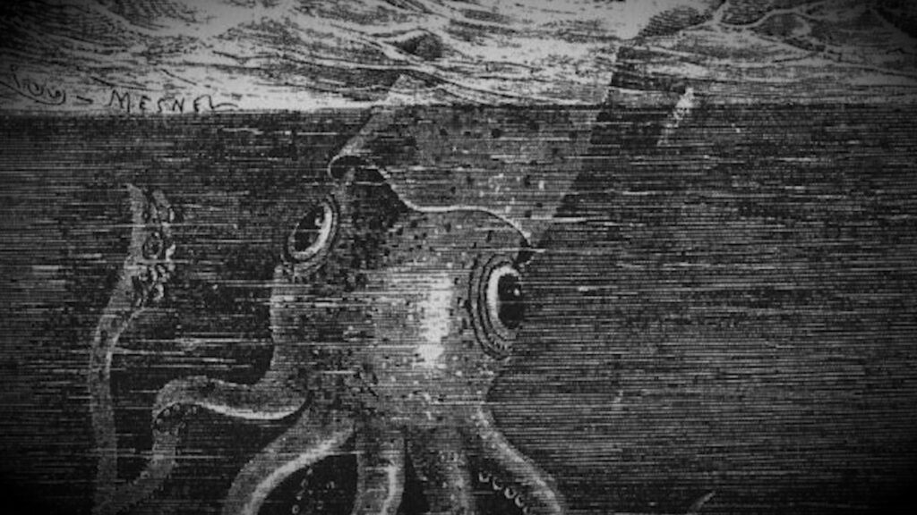 The Giant Squid’s Biggest Mystery