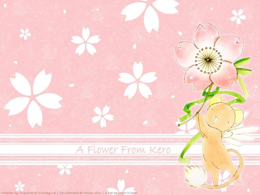 A flower from Kero