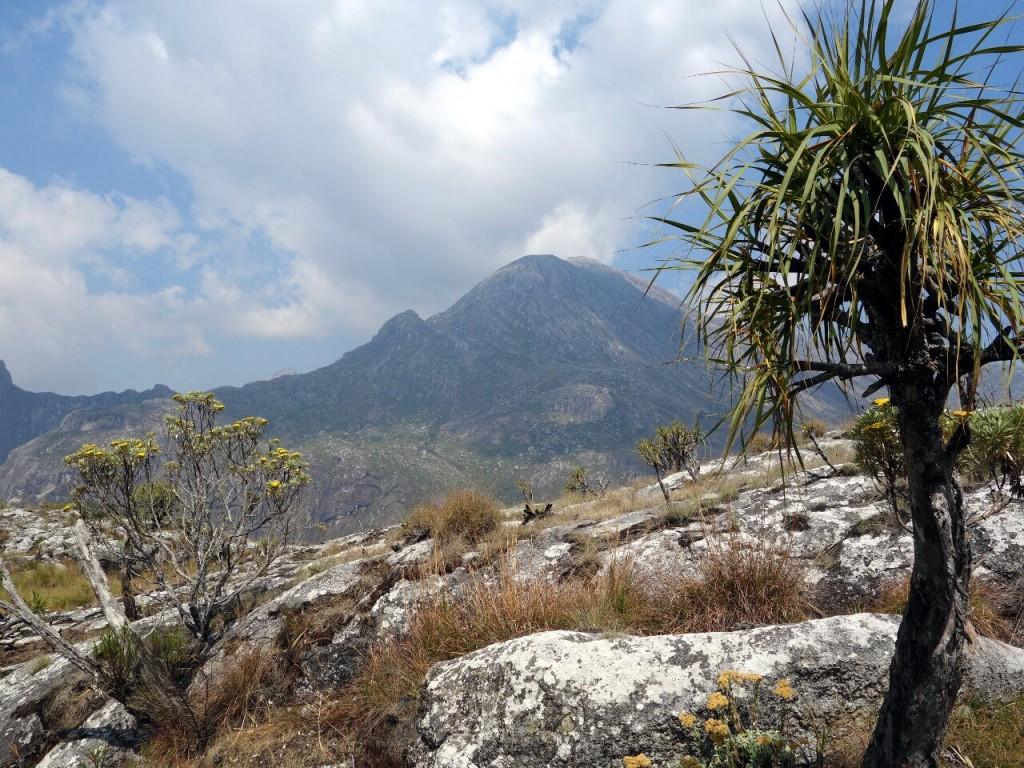 Climbing Sapitwa Peak, Mulanje, the highest peak in Malawi – Mark