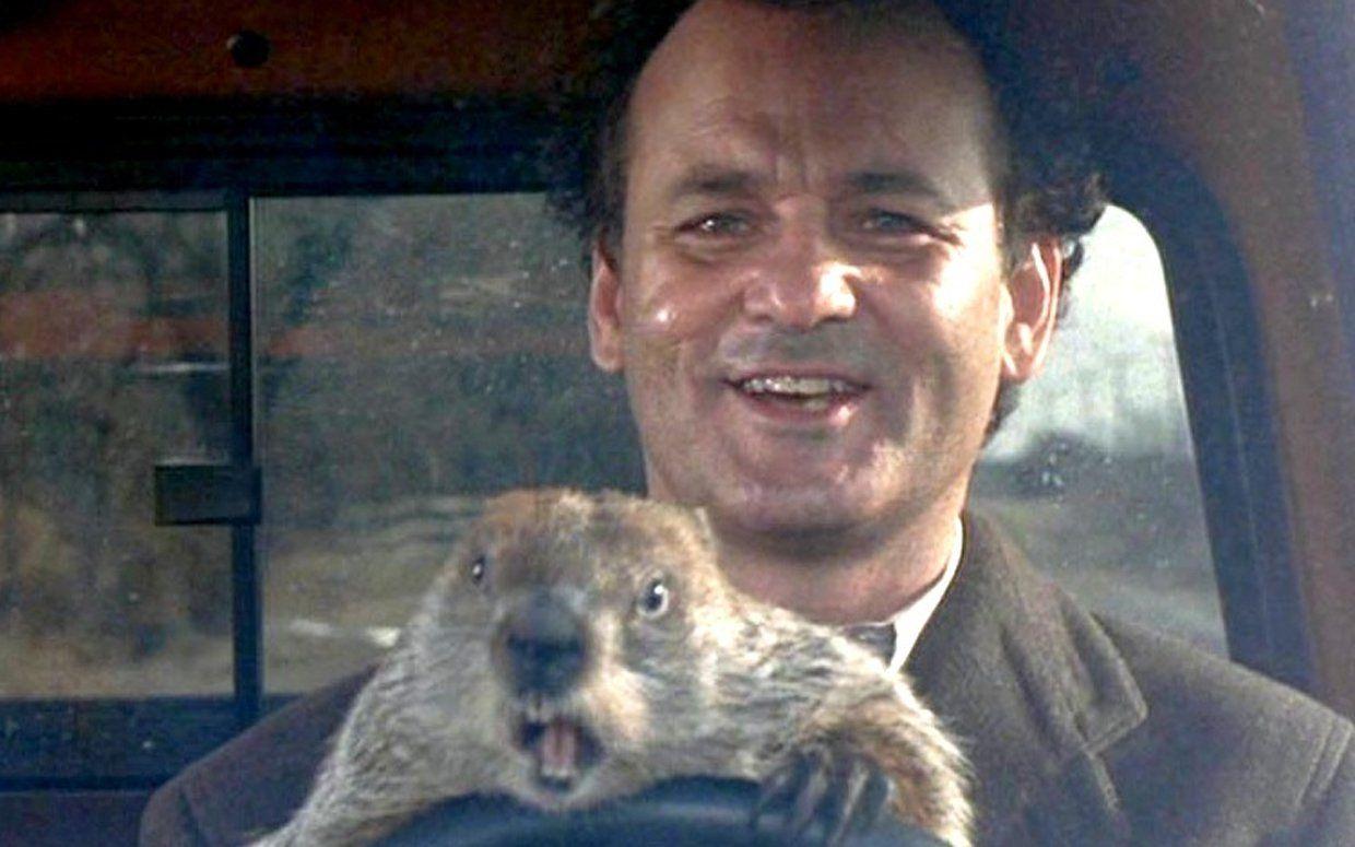Fun Facts About the Movie Groundhog Day