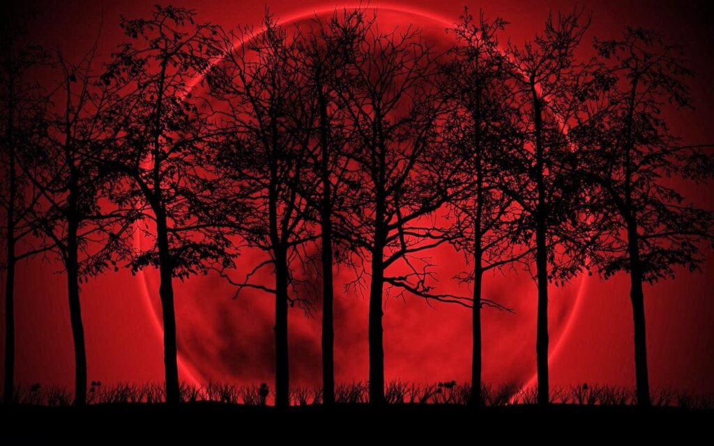 Red Moon wallpapers free download for android smart phones – Urpouch