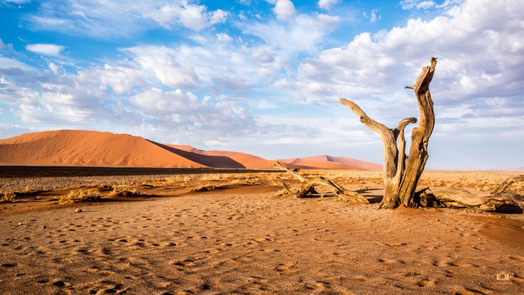Sossusvlei Namibia Desert K Wallpapers | Desk 4K Backgrounds