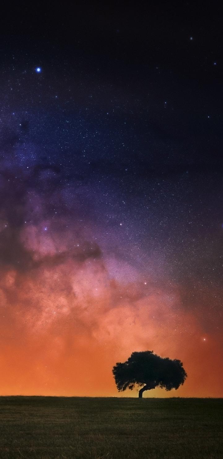 Starry Sky In Open Field Resolution Wallpaper, HD