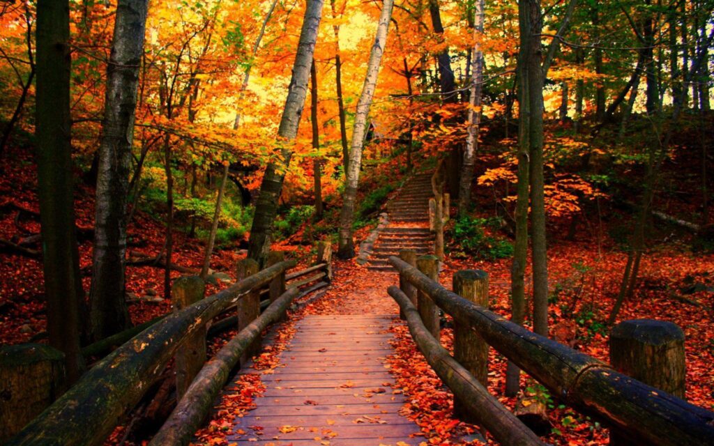 Wisconsin Autumn Wallpapers
