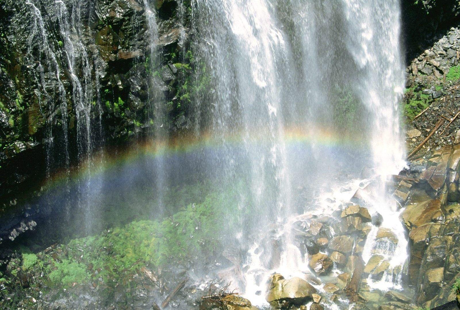Waterfalls Narada Falls Mount Rainier National Park Washington