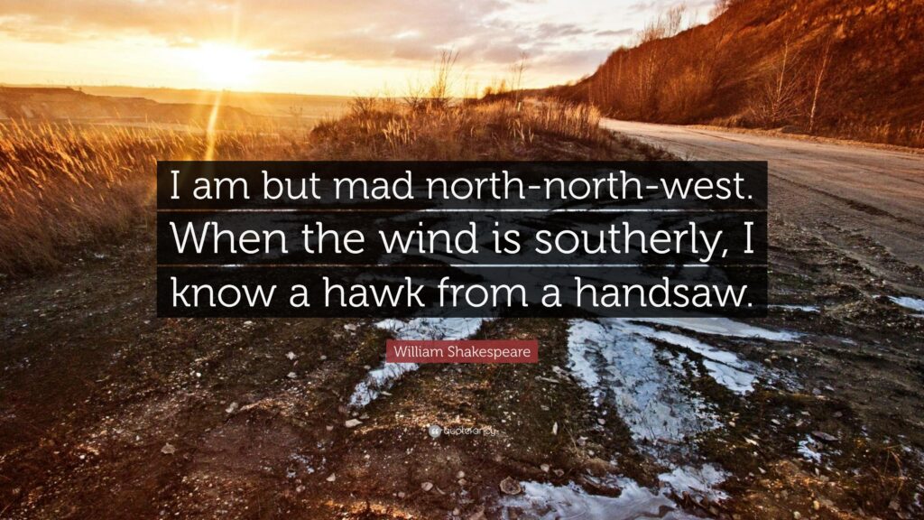 William Shakespeare Quote “I am but mad north