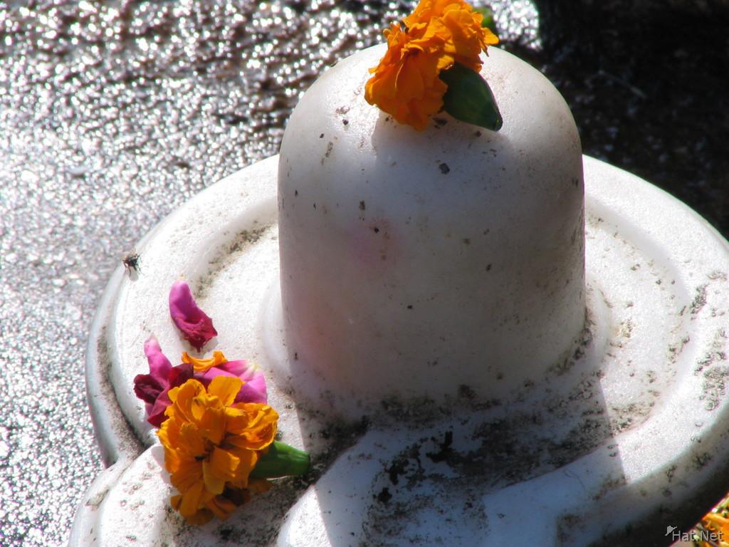 Shiva lingam, highlights  Thousand Photos