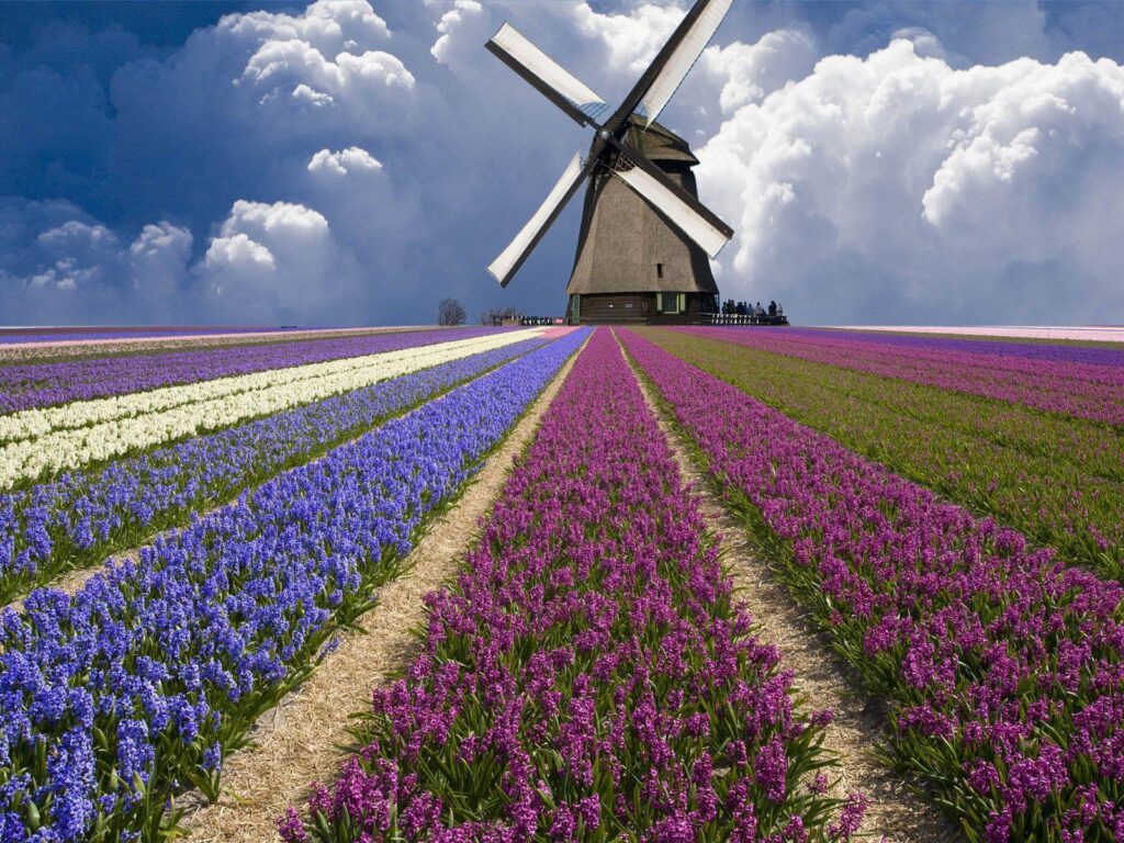The best of the best wallpapers of the Netherlands