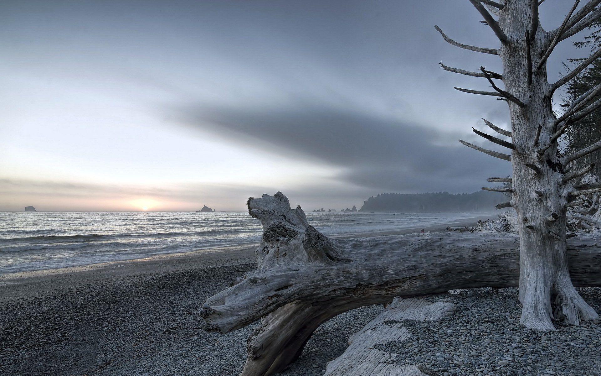 Rialto beach olympic national park landscape 2K wallpapers