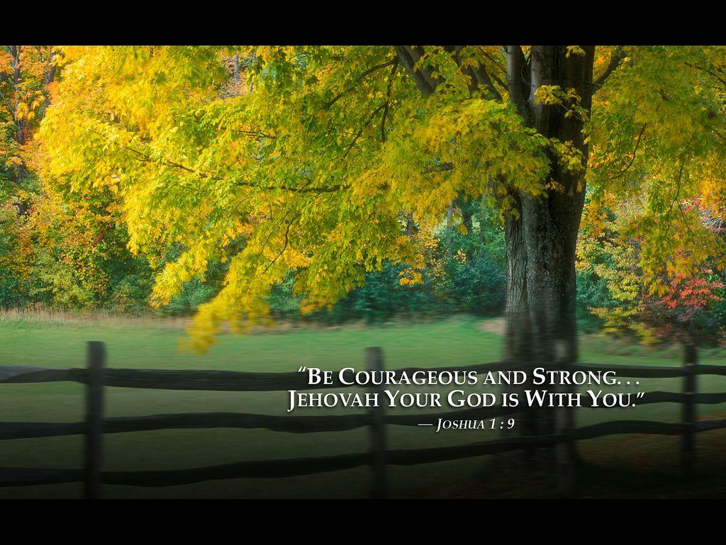 Jehovahs Witnesses Wallpapers