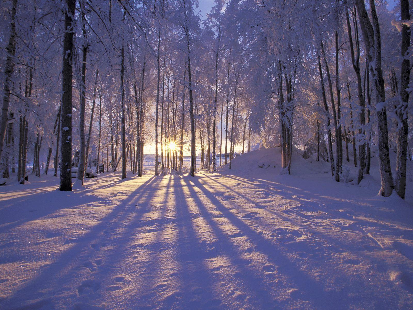Winter Solstice Pictures