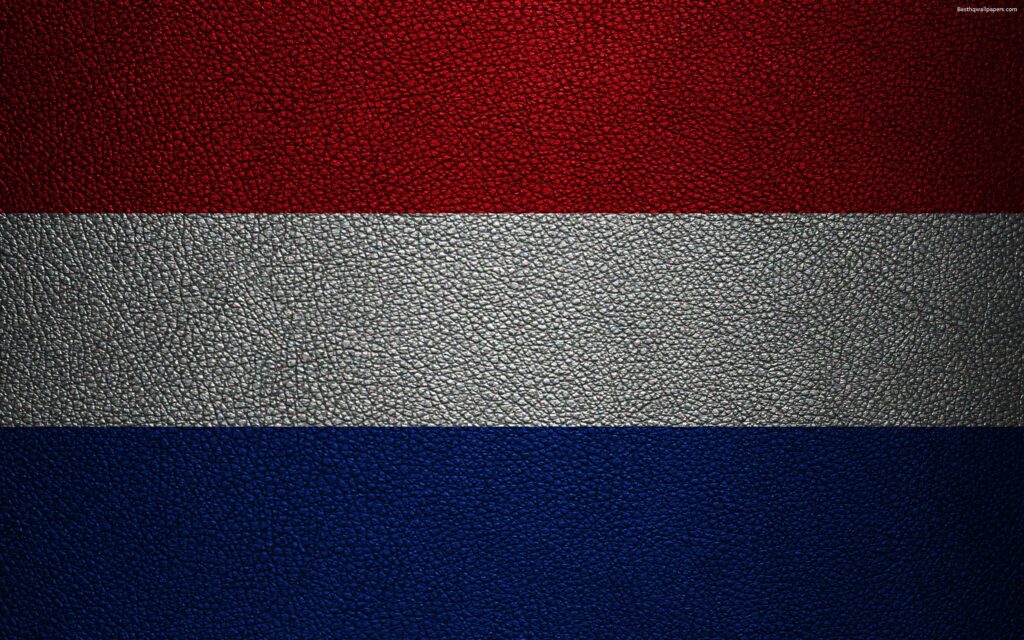 Download wallpapers Flag of the Netherlands, k, leather texture