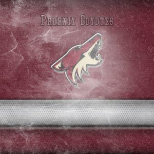 Arizona Coyotes