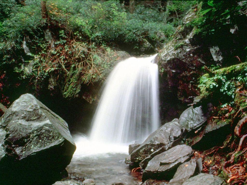 Great Smoky Mountains National Park tips for your visit