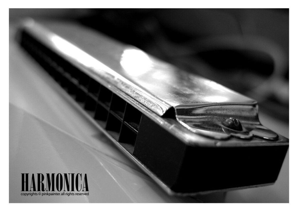 Harmonica by pinkpainter