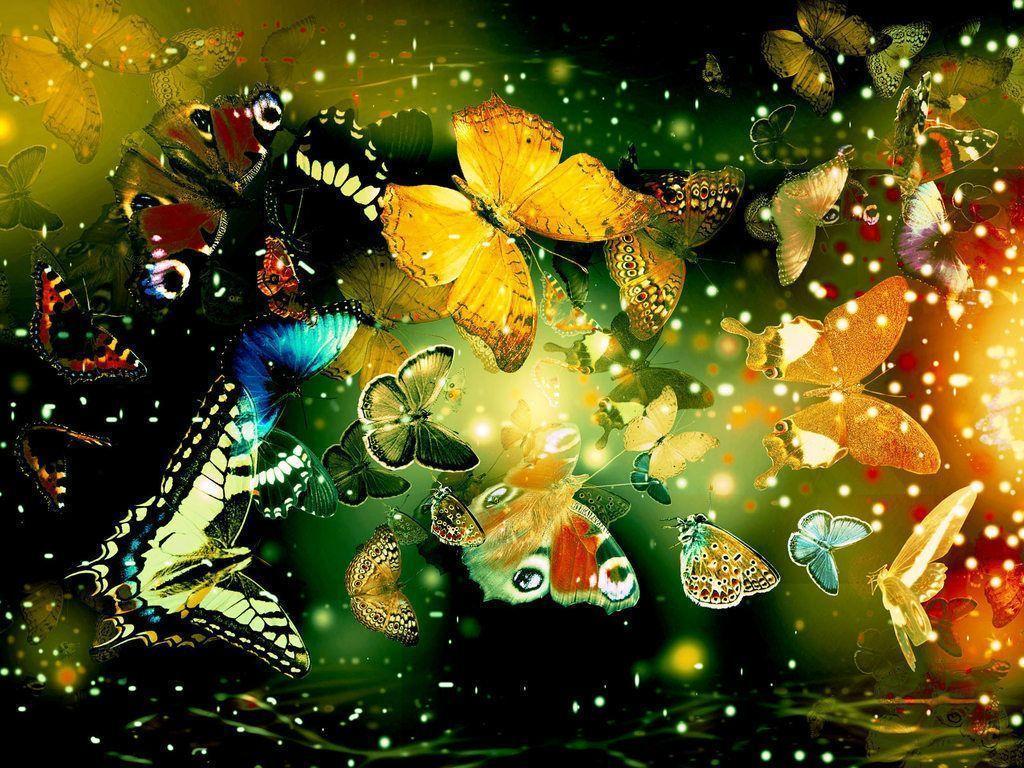 Free butterfly wallpapers download – Wallpapers Idol