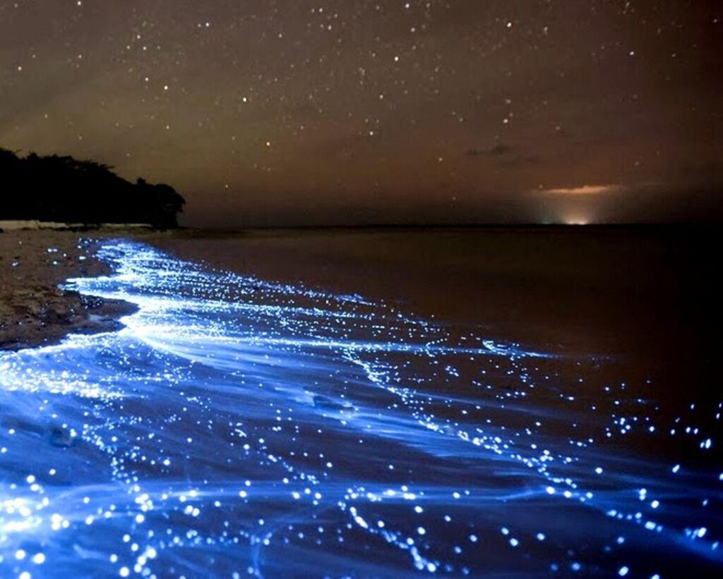 Sea of Stars on Vaadhoo Island