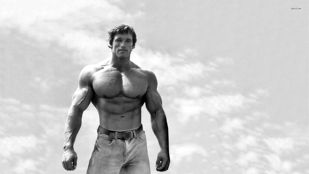 Arnold Schwarzenegger Wallpapers