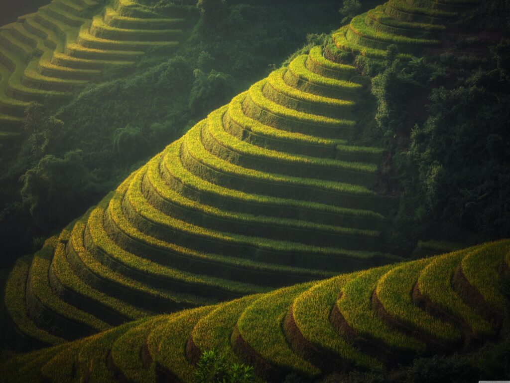 Beautiful Rice Terraces Landscape ❤ K 2K Desk 4K Wallpapers for K